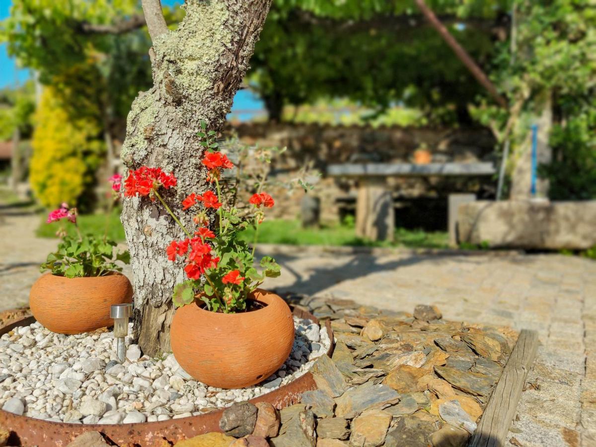 Casa Do Casal - Country House With Swimming Pool Виана-ду-Каштелу Экстерьер фото
