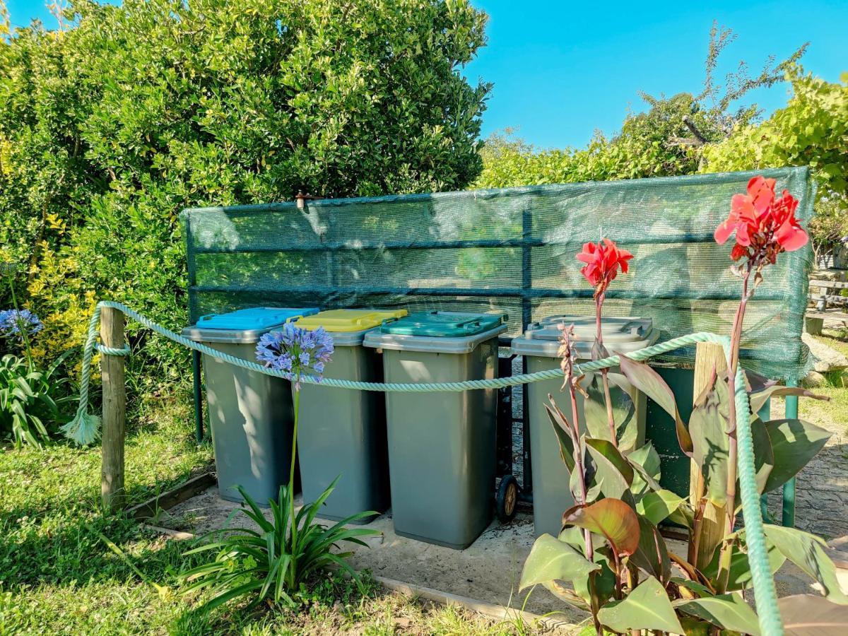 Casa Do Casal - Country House With Swimming Pool Виана-ду-Каштелу Экстерьер фото